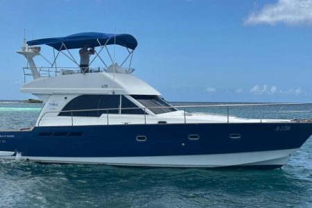 Sea Bull Aruba